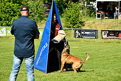 Alfons ex mera passio