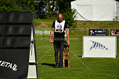 Alfons ex mera passio