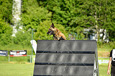 Alfons ex mera passio