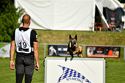 Alfons ex mera passio