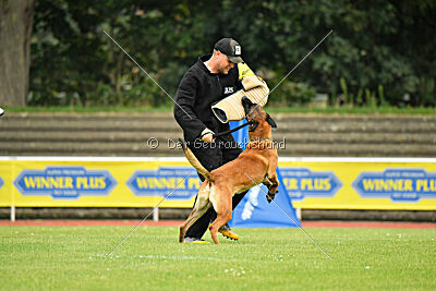 Alfonso vom Ziegeleipark