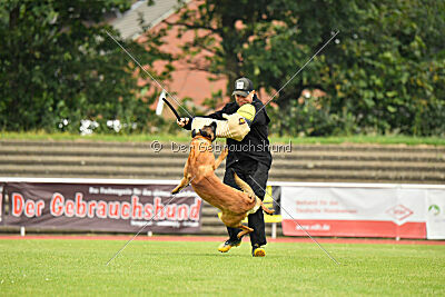 Alfonso vom Ziegeleipark