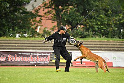 Alfonso vom Ziegeleipark