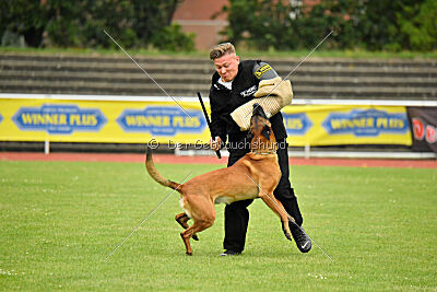 Alfonso vom Ziegeleipark