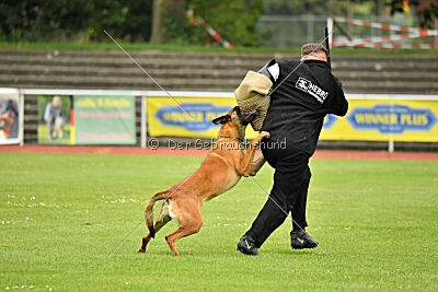 Alfonso vom Ziegeleipark