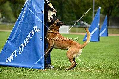 Alfred Airport Hannover