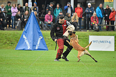 Alfred Airport Hannover