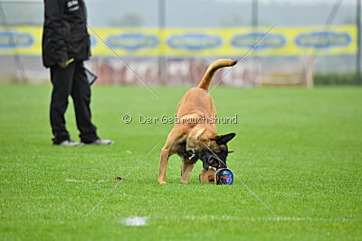 Alfred Airport Hannover