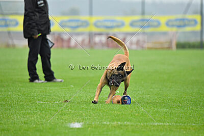 Alfred Airport Hannover