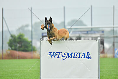 Alfred Airport Hannover