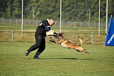 Ally von den Lausbuben