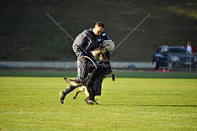 Alma von der Ameisenhalde