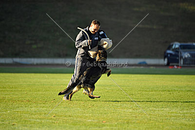 Alma von der Ameisenhalde