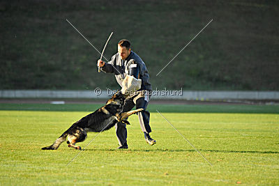 Alma von der Ameisenhalde