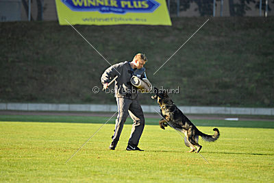 Alma von der Ameisenhalde