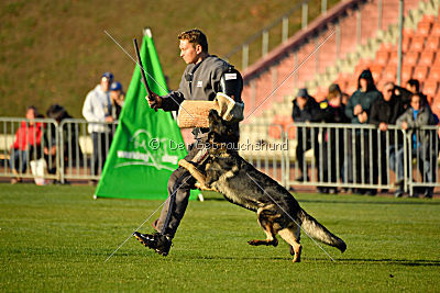 Alma von der Ameisenhalde