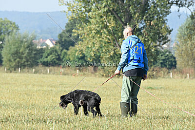 Alma von der Bügnitz