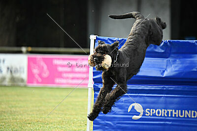 Alma von der Bügnitz