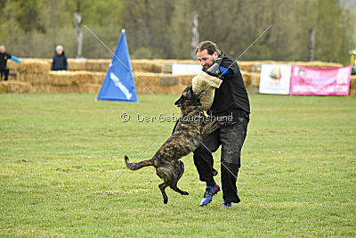 Alpha Bravo Shadow of Carcoosa