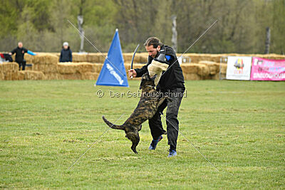 Alpha Bravo Shadow of Carcoosa