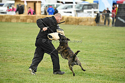 Alpha Bravo Shadow of Carcoosa