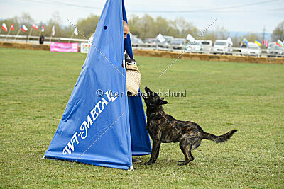 Alpha Bravo Shadow of Carcoosa