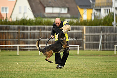 Alternate Attack's A'Odyn