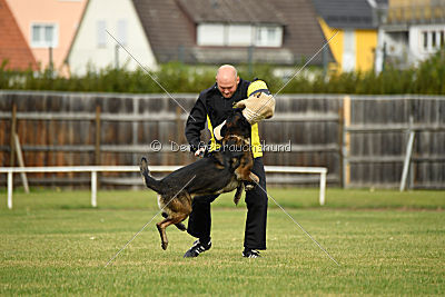 Alternate Attack's A'Odyn