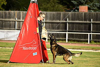 Alternate Attack's A'Odyn