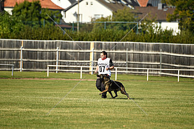 Alternate Attack's A'Odyn