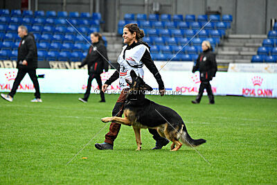 Alvar vom special Highlight