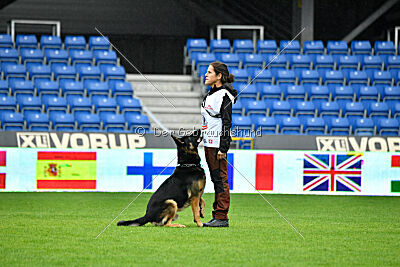 Alvar vom special Highlight