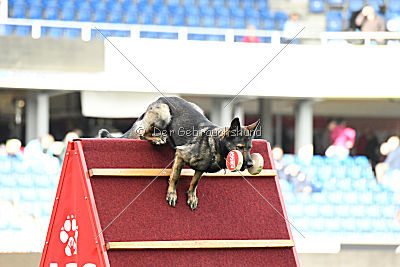 Alyscha Anmireto Moravia