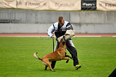 Amarok von Malihattan