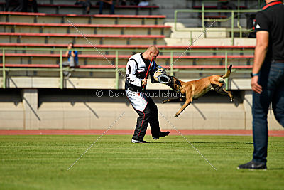 Amarok von Malihattan