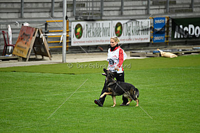 Amber van Hamersslag