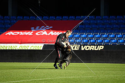 Amber van Hamersslag