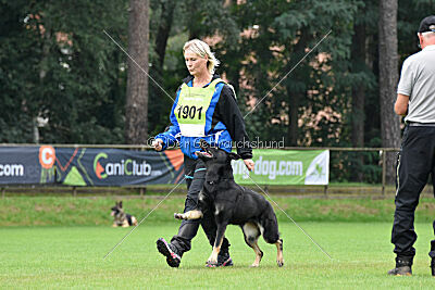 Amirah vom Peiner Burgpark