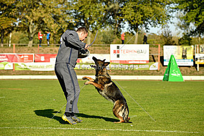 Amy von den goldenen Lorbeeren