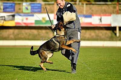 Amy von den goldenen Lorbeeren