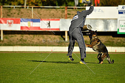 Amy von den goldenen Lorbeeren