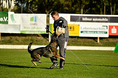 Amy von den goldenen Lorbeeren