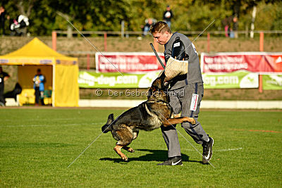 Amy von den goldenen Lorbeeren