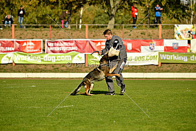 Amy von den goldenen Lorbeeren