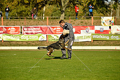 Amy von den goldenen Lorbeeren