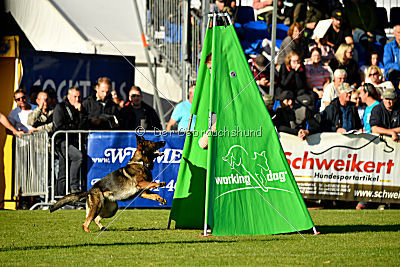 Amy von den goldenen Lorbeeren