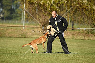 Amy von der schwarzen Mamba