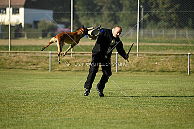 Amy von der schwarzen Mamba