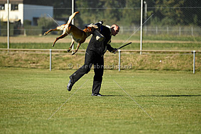 Amy von der schwarzen Mamba