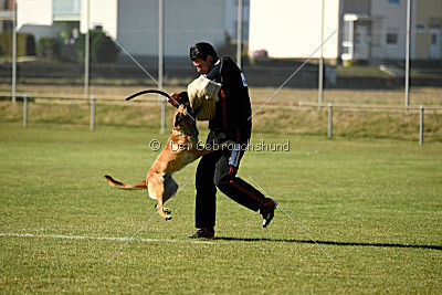 Amy von der schwarzen Mamba